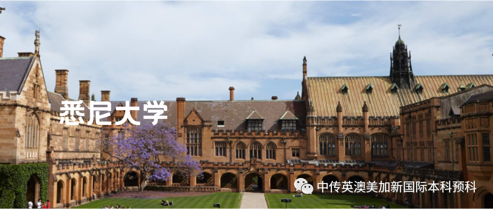 惊了！46份悉尼大学录取，世界排名第38位的顶尖名校！