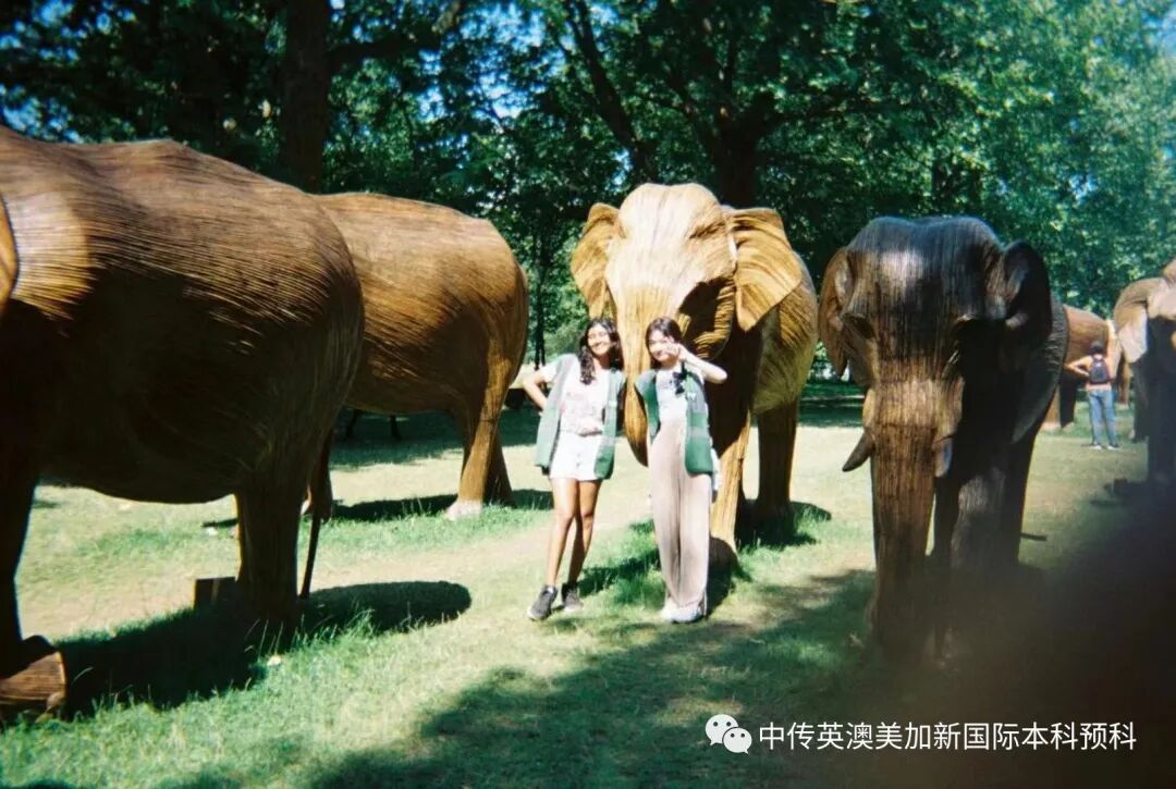 中传1+3师姐开挂，从中传预科到皇艺硕士