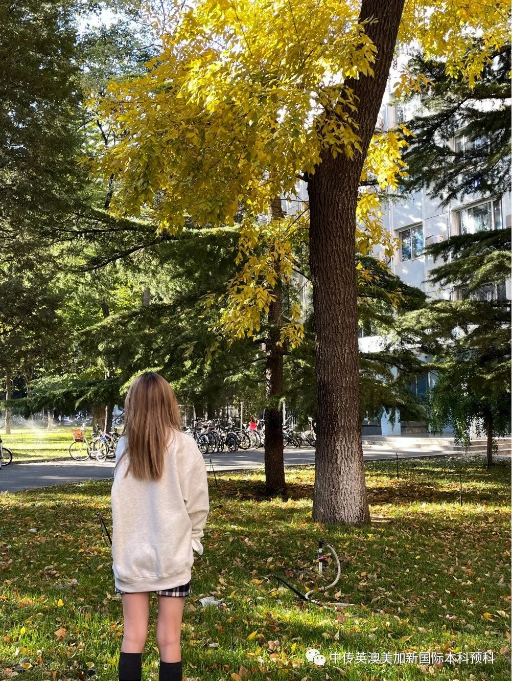 中传学姐说--熬过的夜，都变成了光，我去利兹读时尚！