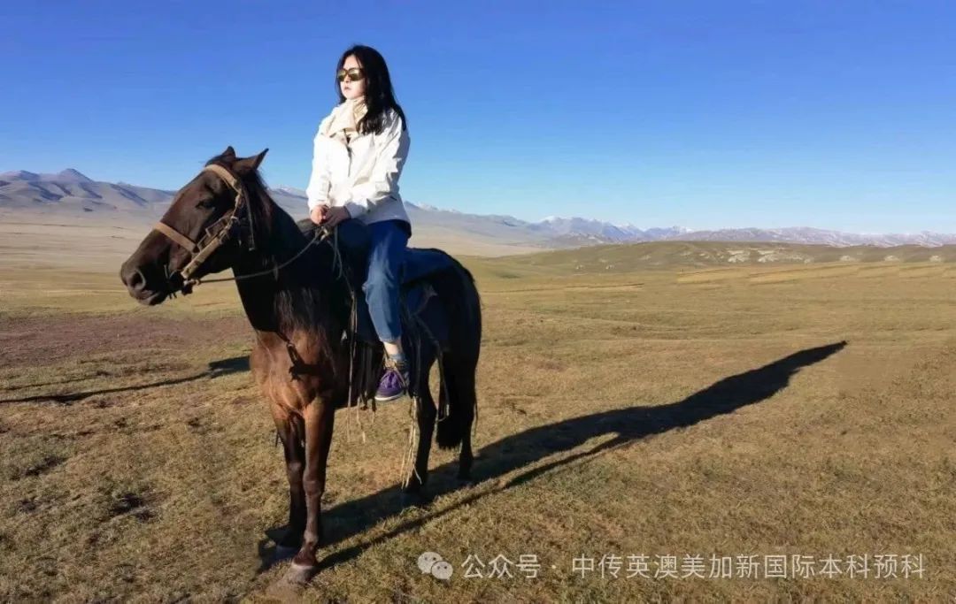 设计不设限：一个"零基础"高二学生的悉尼大学升学启示录
