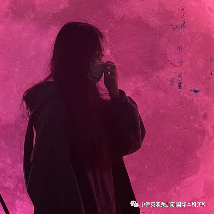 “艺·述”--动漫与数字媒体专业：2021级1+3英澳美加新国际预科毕业作品展