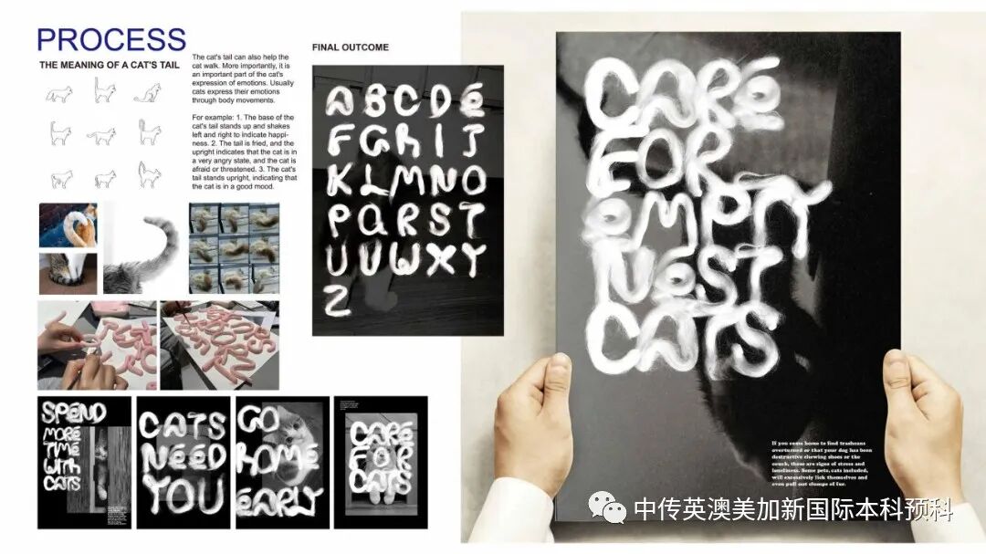 “艺·述”--平面设计专业：2021级1+3英澳美加新国际预科毕业作品展
