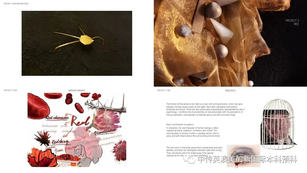 谢同学 | 格拉斯哥艺术学院 | 银饰与珠宝设计专业