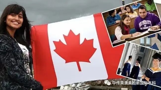留学性价比高，移民政策宽松