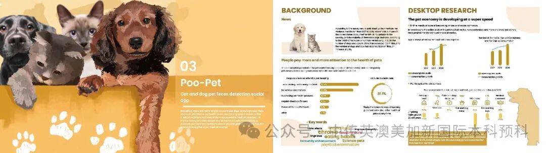 1+3 艺术与设计｜中国传媒大学英澳美加新国际本科名校项目招生简章