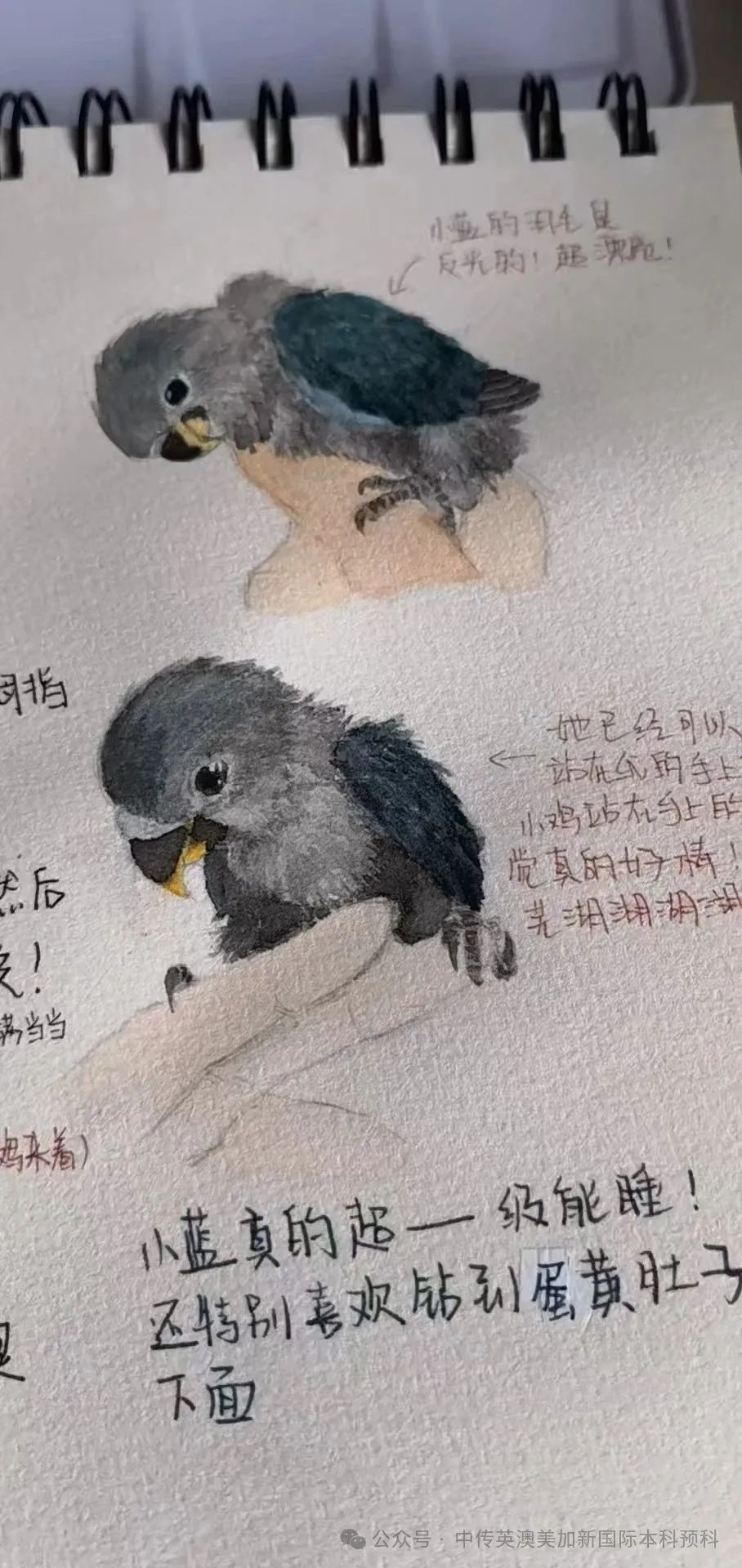 2025级新生 | 画笔为舟，雅思作桨：她这样走向概念艺术之梦