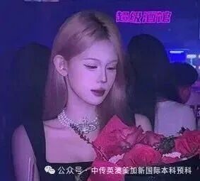 1+3悉尼大学培养方向｜中国传媒大学英澳美加新国际本科名校项目招生简章